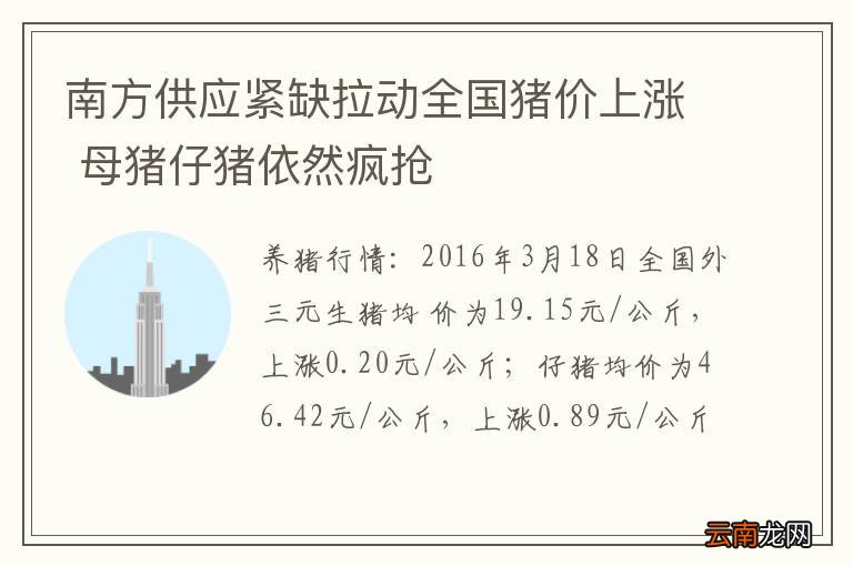 南方供应紧缺拉动全国猪价上涨 母猪仔猪依然疯抢