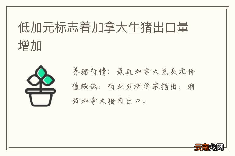 低加元标志着加拿大生猪出口量增加