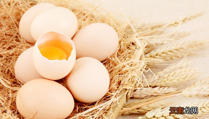 鸡蛋壳可以补钙吗怎么吃 一个鸡蛋壳能补多少钙
