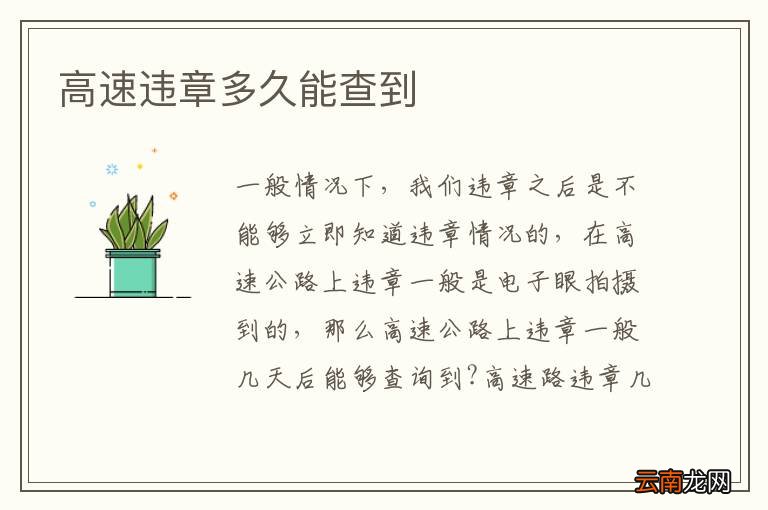 高速违章多久能查到