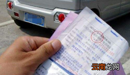 处理违章需要什么证件