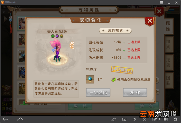 问道手游宠物选择推荐 问道手游宠物哪个厉害