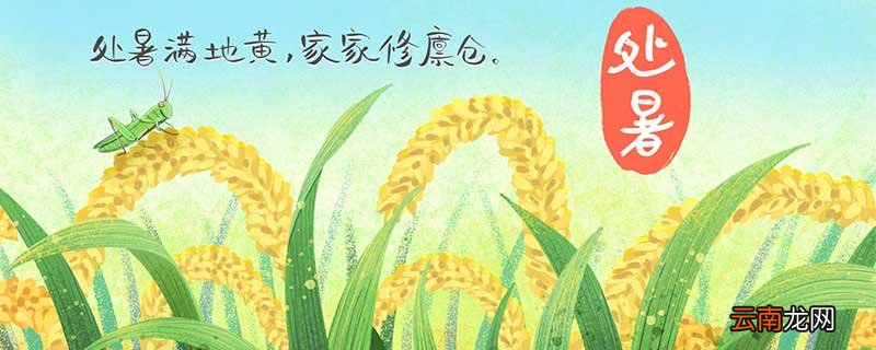 8月处暑吃什么 8月处暑吃啥