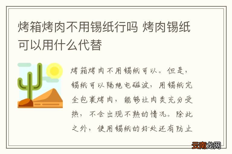 烤箱烤肉不用锡纸行吗 烤肉锡纸可以用什么代替