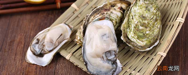 生蚝肉里的黑色东西是什么能吃吗 生蚝怎么清洗