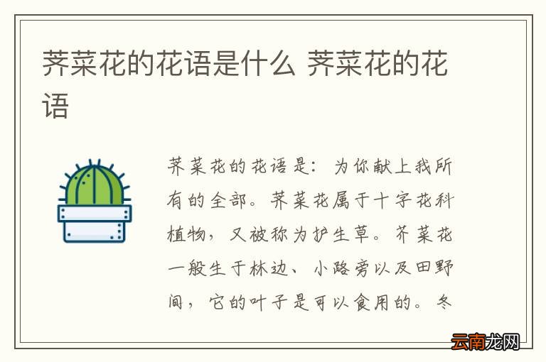 荠菜花的花语是什么 荠菜花的花语