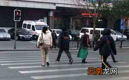 闯红灯几天能查到2018