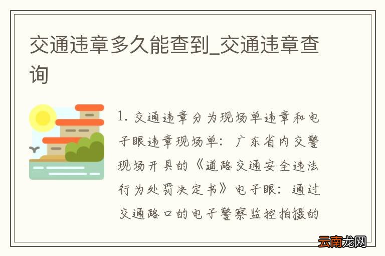 交通违章多久能查到_交通违章查询