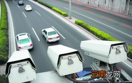 交通违章多久能查到_交通违章查询