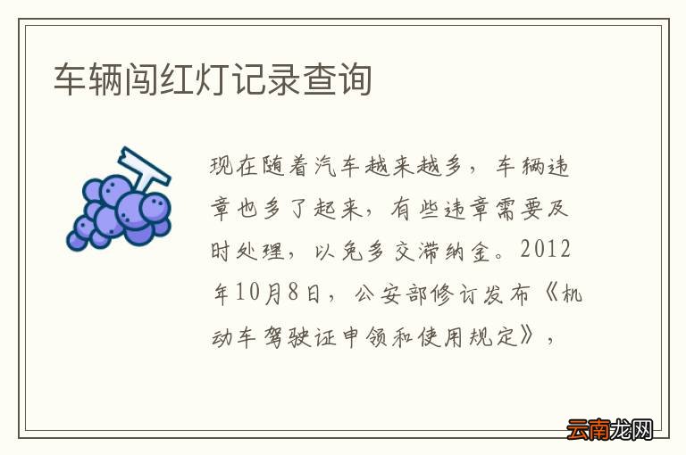 车辆闯红灯记录查询