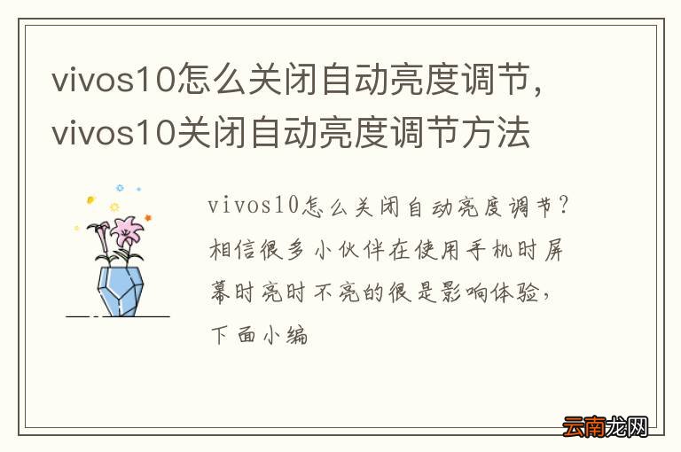 vivos10怎么关闭自动亮度调节，vivos10关闭自动亮度调节方法