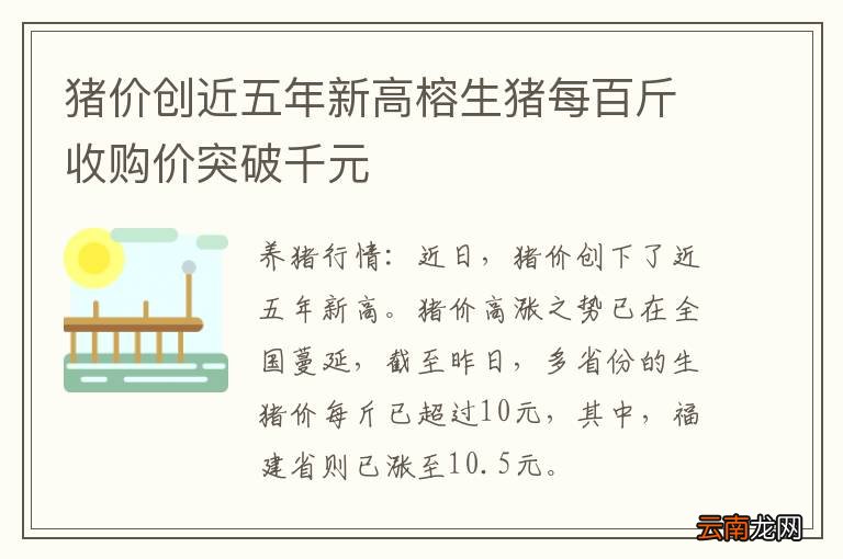 猪价创近五年新高榕生猪每百斤收购价突破千元