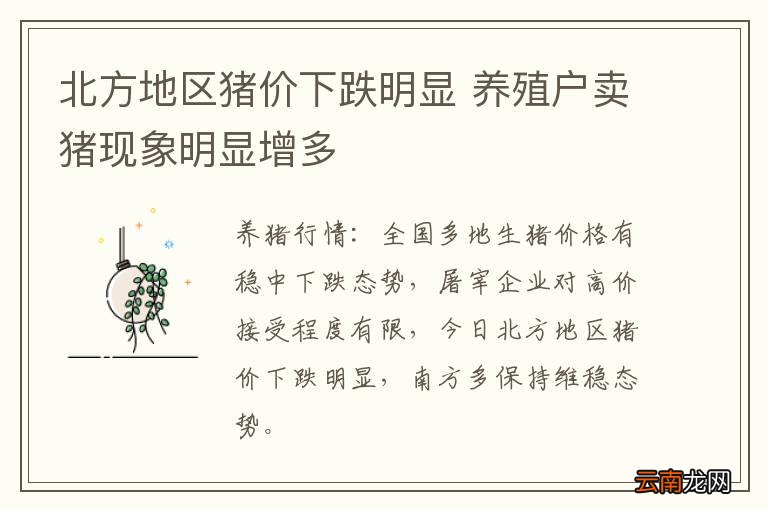 北方地区猪价下跌明显 养殖户卖猪现象明显增多