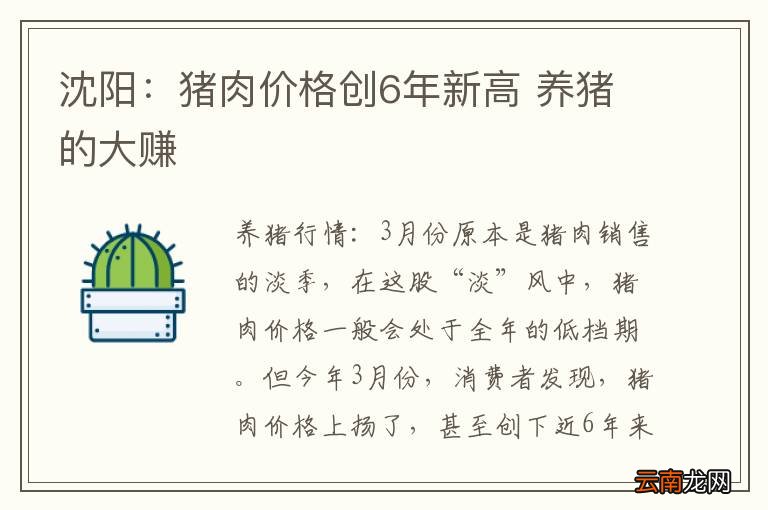 沈阳：猪肉价格创6年新高 养猪的大赚