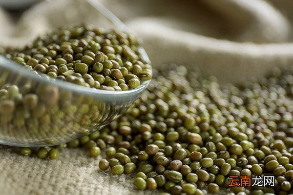野绿豆图片与功效 野绿豆的功效与作用