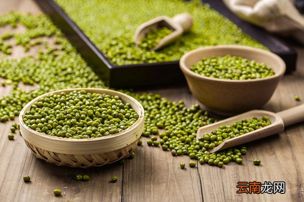 野绿豆图片与功效 野绿豆的功效与作用