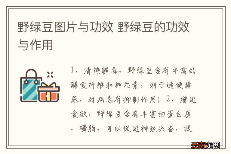野绿豆图片与功效 野绿豆的功效与作用