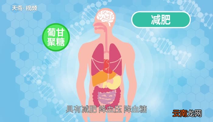 蒟蒻是什么 蒟蒻是什么味道
