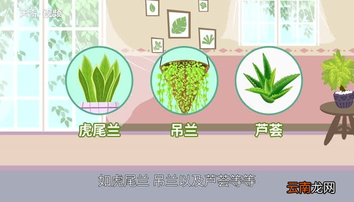 装修后多久可以入住新装修一个月能入住吗
