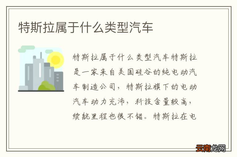 特斯拉属于什么类型汽车