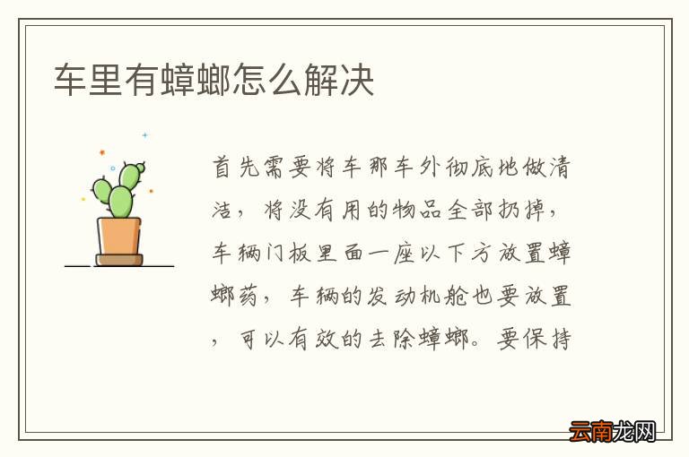 车里有蟑螂怎么解决