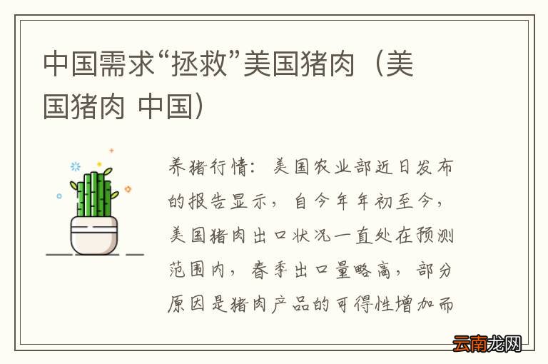 美国猪肉 中国 中国需求“拯救”美国猪肉