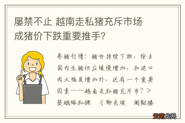 屡禁不止 越南走私猪充斥市场 成猪价下跌重要推手？