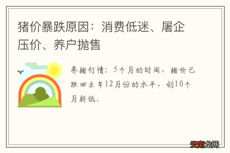 猪价暴跌原因：消费低迷、屠企压价、养户抛售