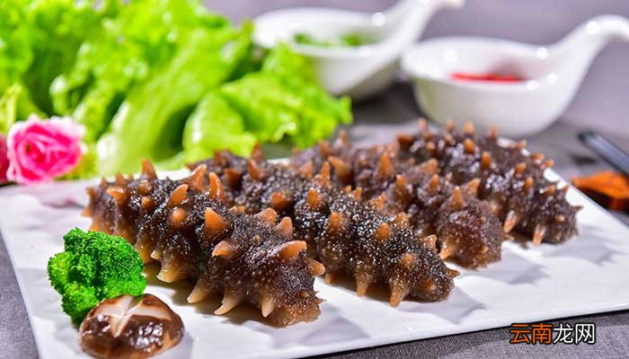 泡好的海参很腥怎么办 海参很腥如何去腥