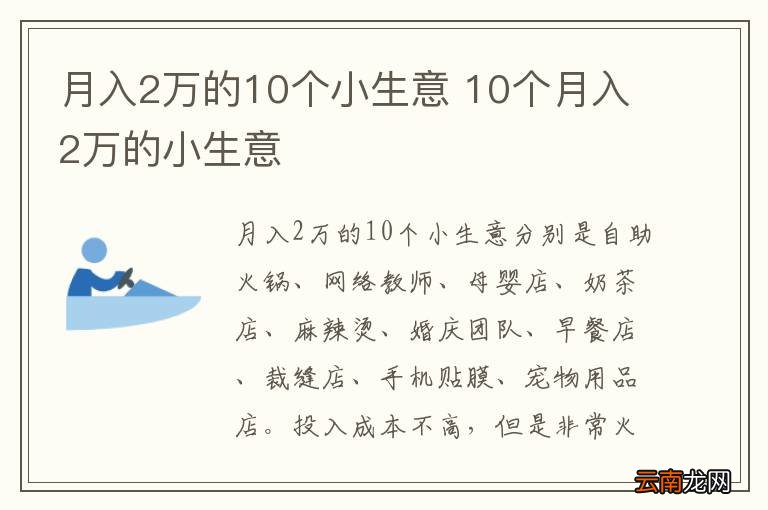 月入2万的10个小生意 10个月入2万的小生意