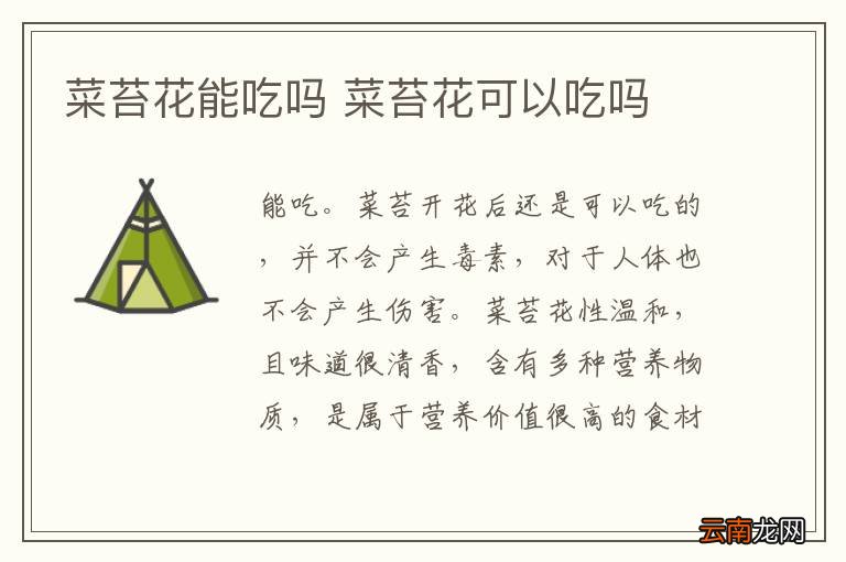 菜苔花能吃吗 菜苔花可以吃吗