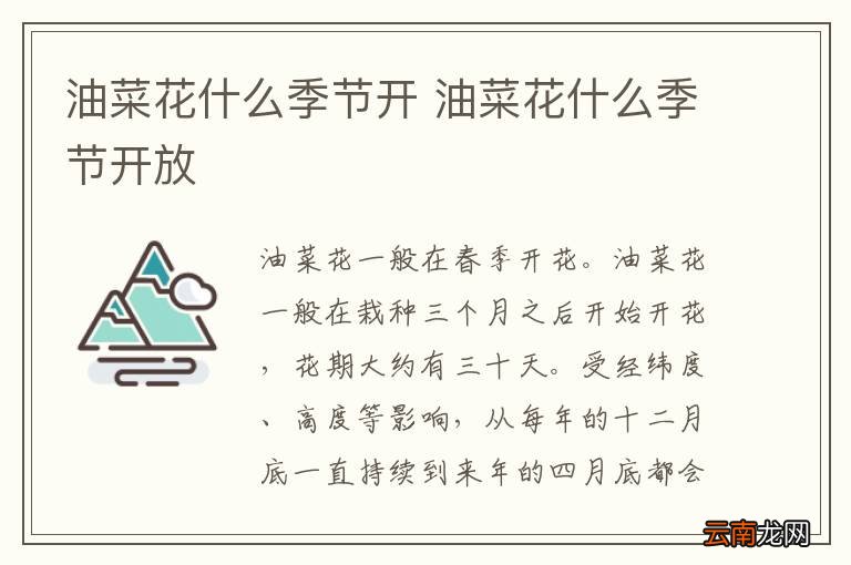 油菜花什么季节开 油菜花什么季节开放