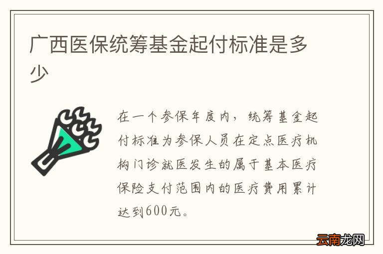 广西医保统筹基金起付标准是多少