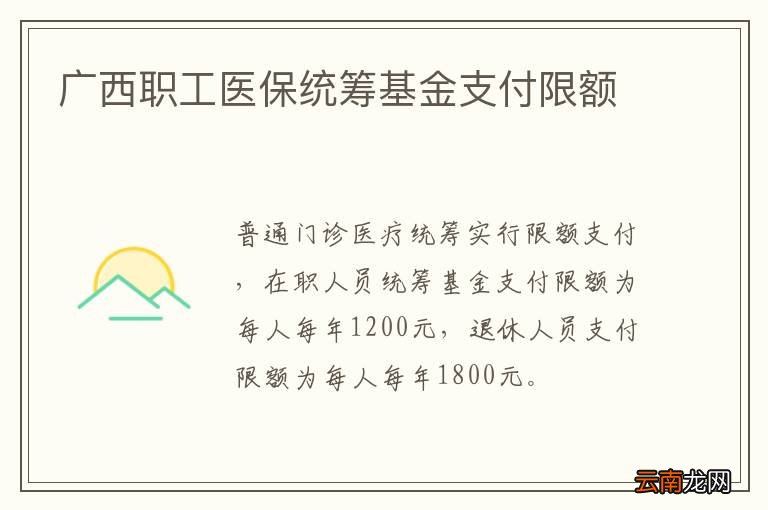 广西职工医保统筹基金支付限额