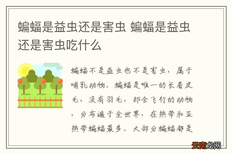 蝙蝠是益虫还是害虫 蝙蝠是益虫还是害虫吃什么