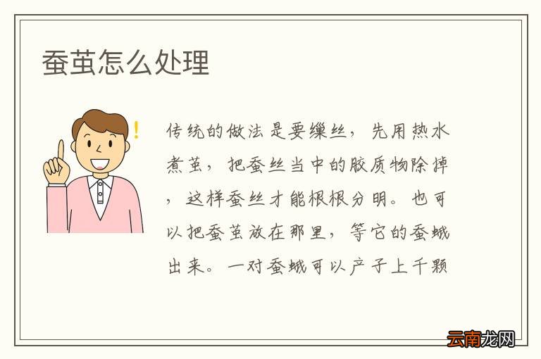 蚕茧怎么处理