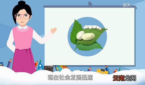 蚕茧怎么处理