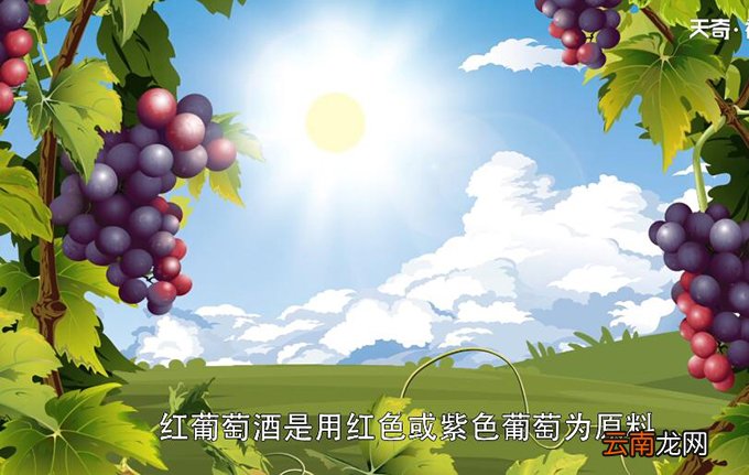 红葡萄酒和白葡萄酒的区别 红葡萄酒和白葡萄酒的区别是什么