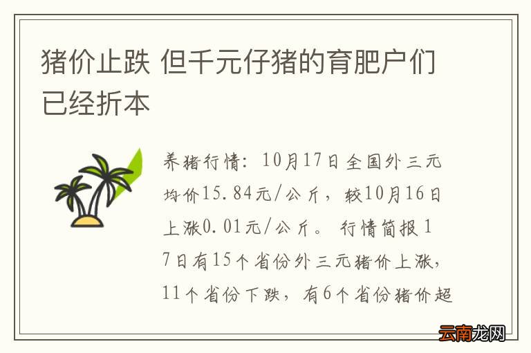 猪价止跌 但千元仔猪的育肥户们已经折本