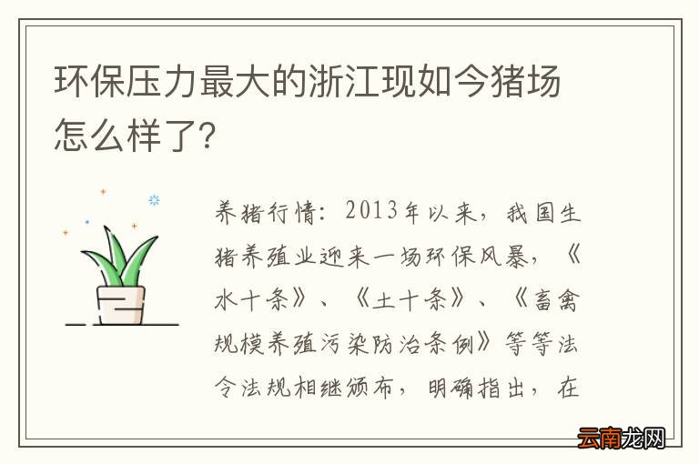 环保压力最大的浙江现如今猪场怎么样了？