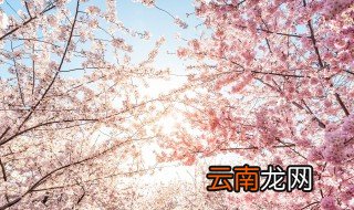 花穗的拼音怎么写 花穗怎么读