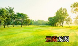 怎么形容草坪 怎么形容草坪的词语
