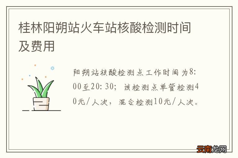 桂林阳朔站火车站核酸检测时间及费用