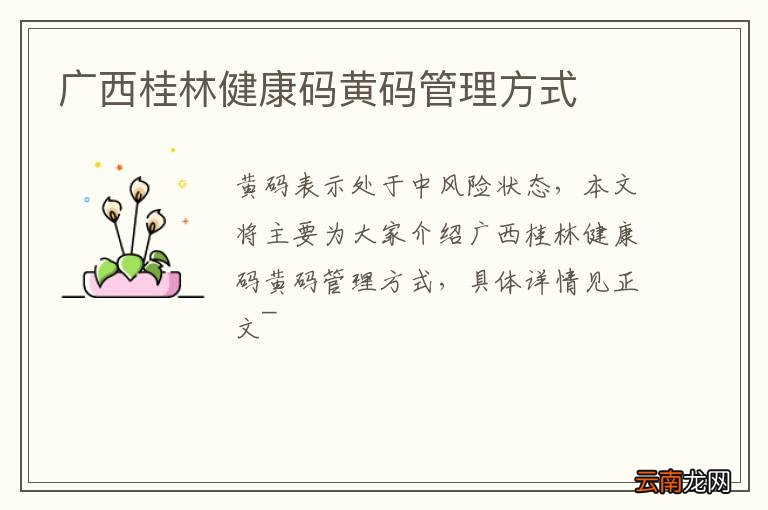 广西桂林健康码黄码管理方式