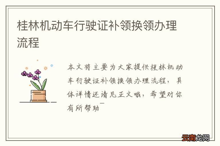 桂林机动车行驶证补领换领办理流程
