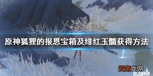 原神狐狸食盆在哪 原神狐狸的报恩宝箱及绯红玉髓获得方法