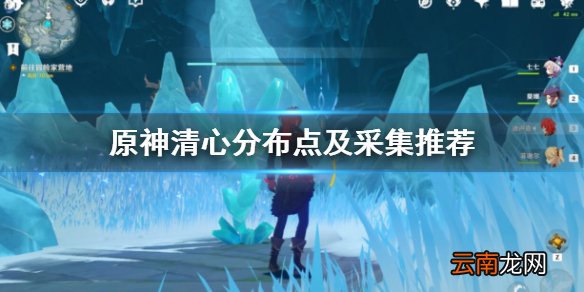 原神清心哪里多 原神清心分布点及采集推荐
