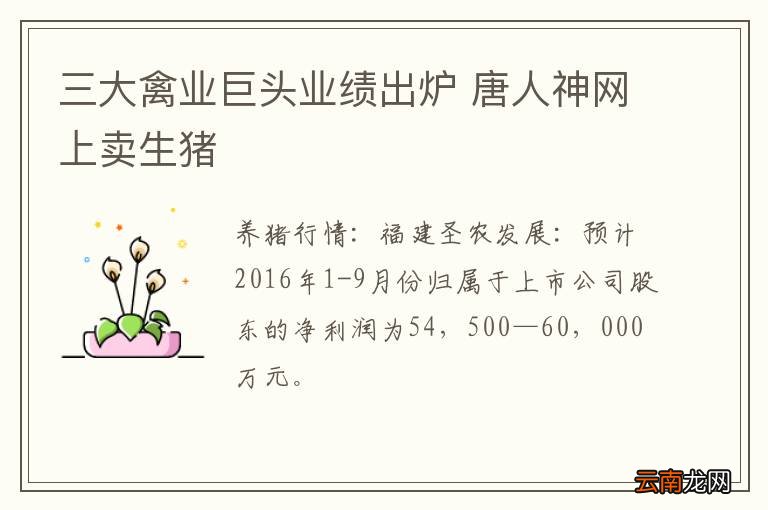 三大禽业巨头业绩出炉 唐人神网上卖生猪
