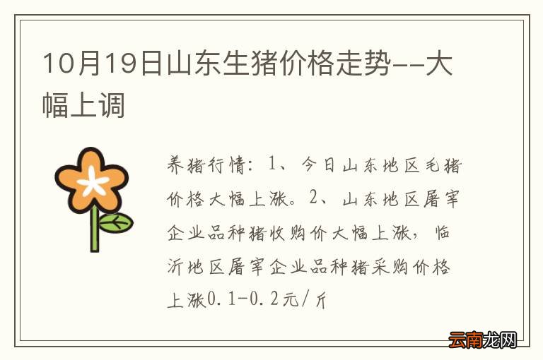 10月19日山东生猪价格走势--大幅上调