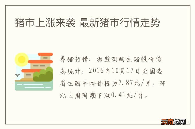 猪市上涨来袭 最新猪市行情走势